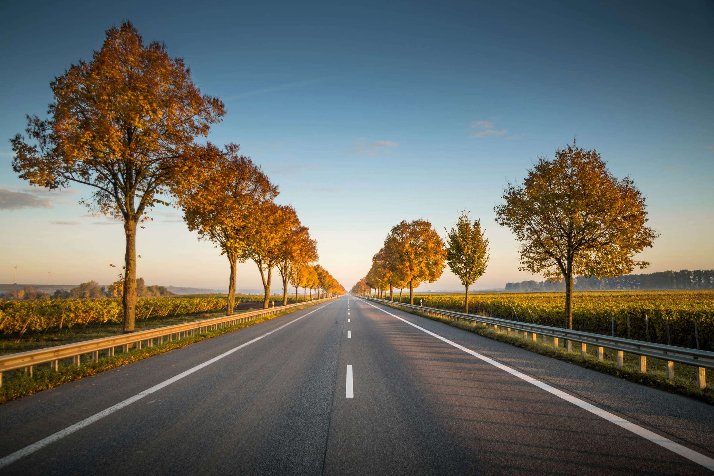 Horizon Road 4