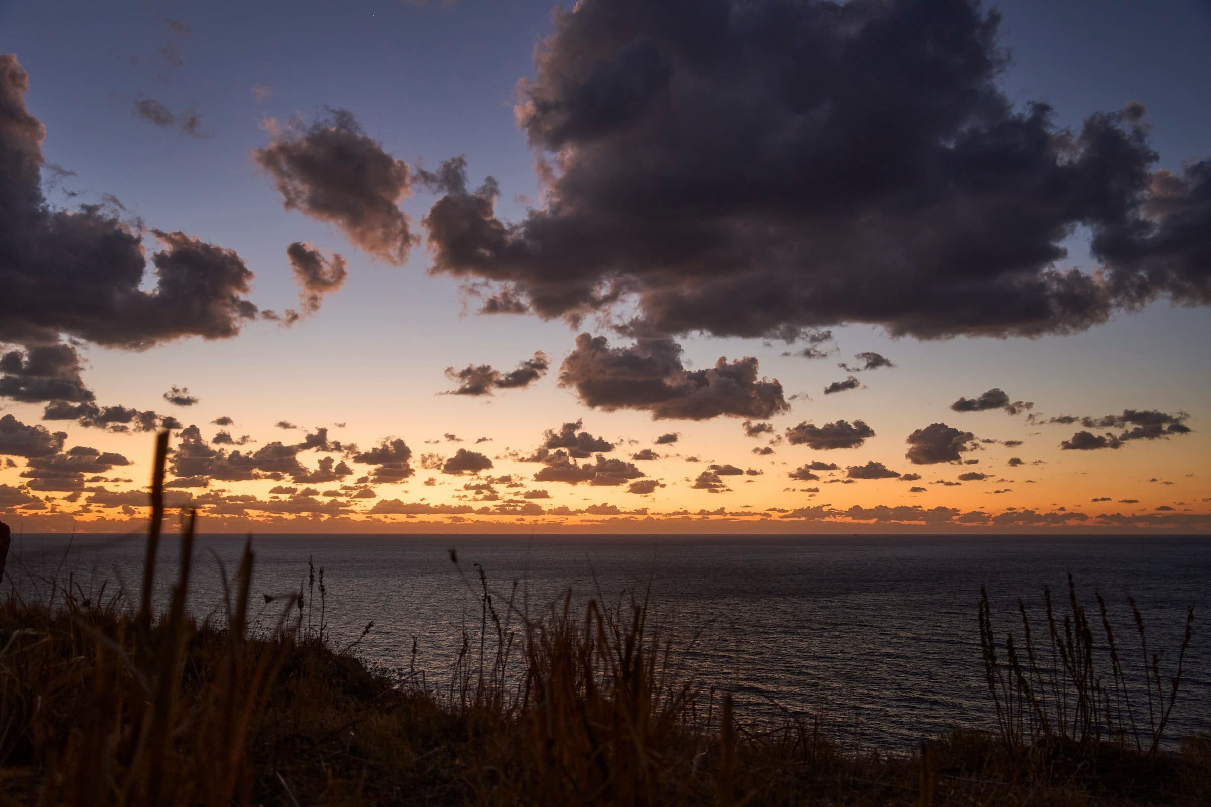 Horizon Sea 9